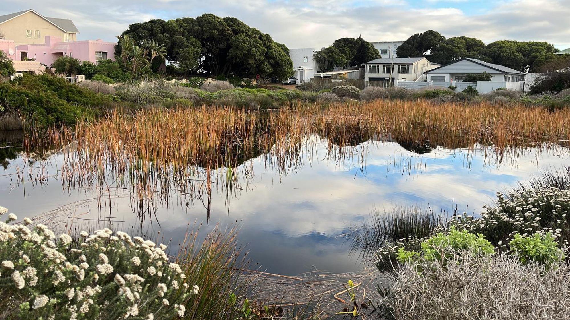 Storyhouse In Kommetjie Luaran gambar